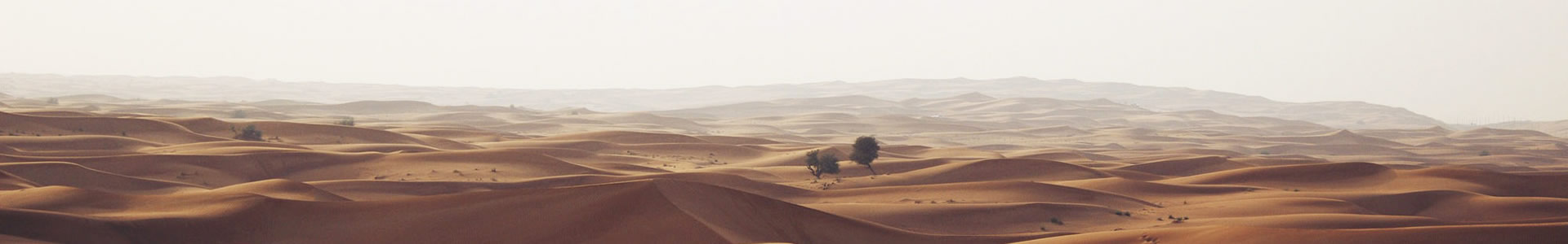 ڴﺸ˿ֳ